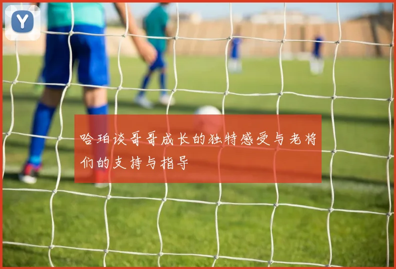 哈珀谈哥哥成长的独特感受与老将们的支持与指导